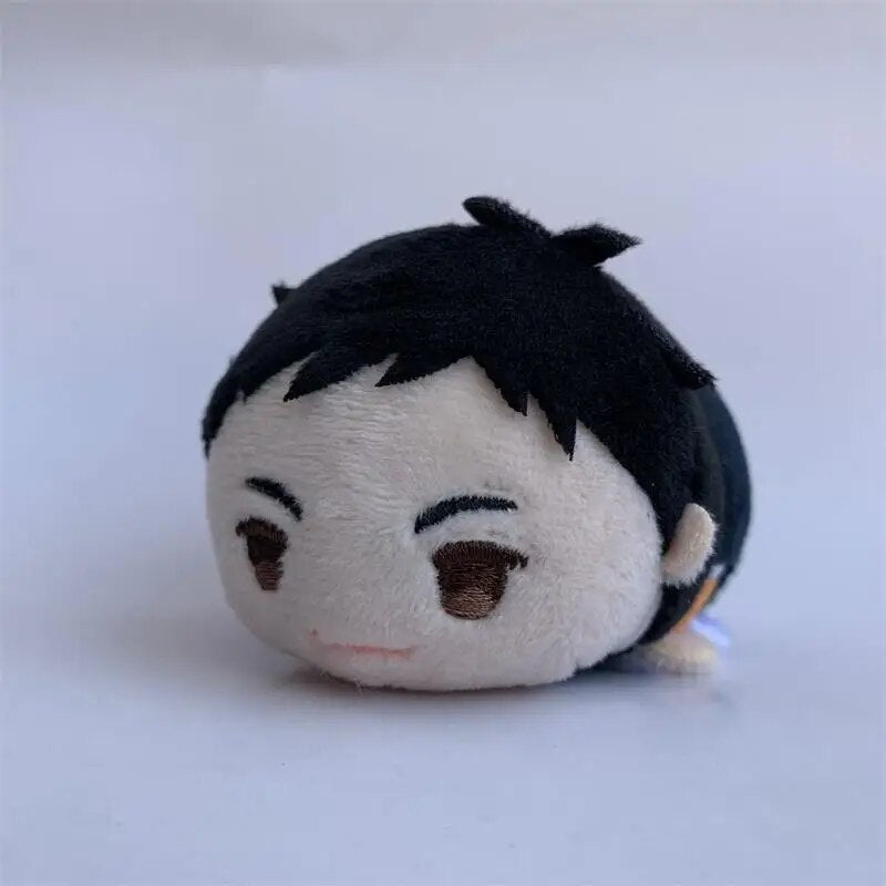 Haikyuu!! Muñecos de peluche animados para niños, juguete coleccionable de Aoba Johsai Oikawa Tooru Karasuno Sugawara Koushi, colgante de algodón